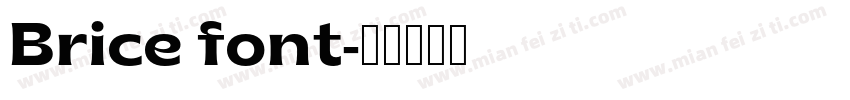 Brice font字体转换